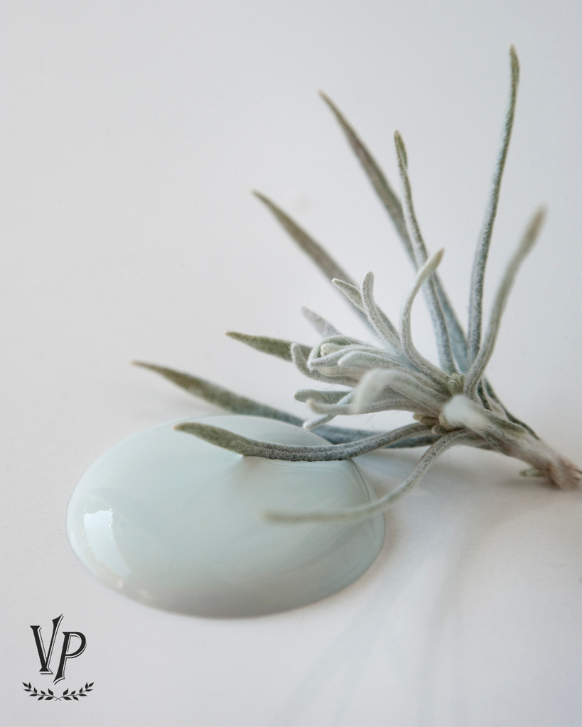 Vintage Paint SEAFOAM MIST