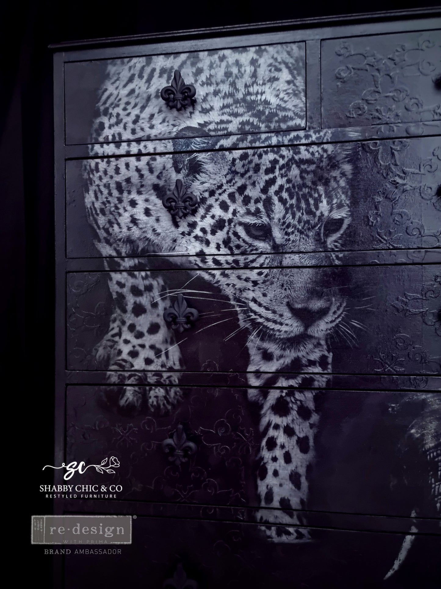 Feline Gaze (A1: 59 x 84cm) - Redesign FIBER découpage