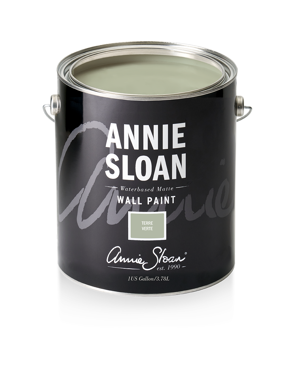 Annie Sloan Wall Paint® TERRE VERTE