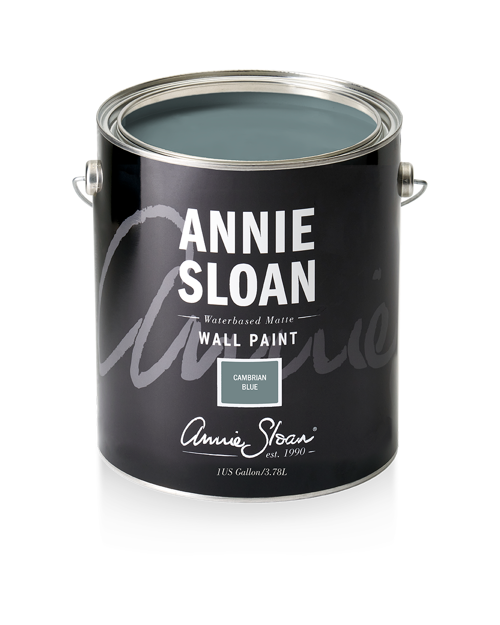 Annie Sloan Wall Paint® CAMBRIAN BLUE