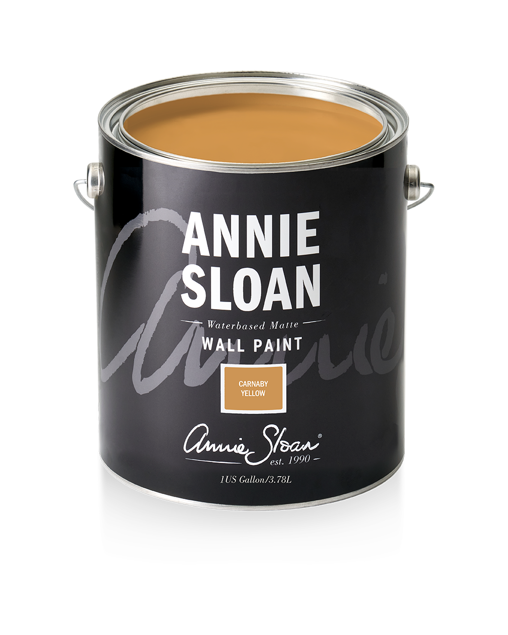 Annie Sloan Wall Paint® CARNABY YELLOW