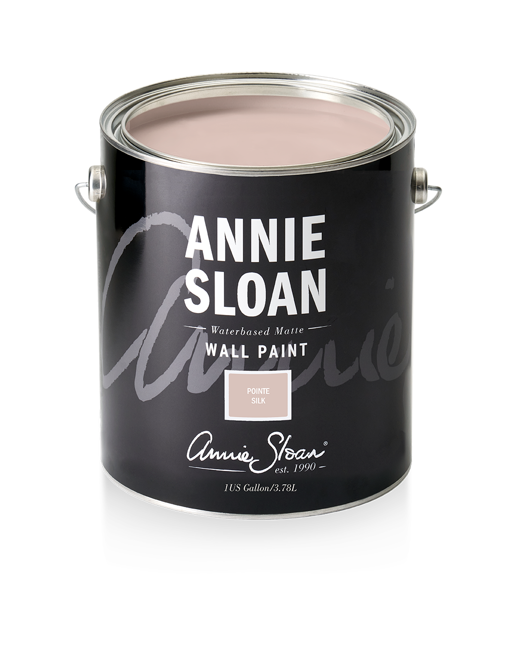 Annie Sloan Wall Paint® POINTE SILK