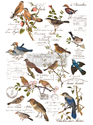 Postal Birds (61 x 89cm) - Redesign Décor Transfers®