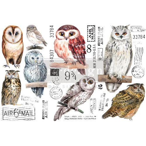 Owl (15,25 x 30,50cm) - Redesign Décor Transfers®