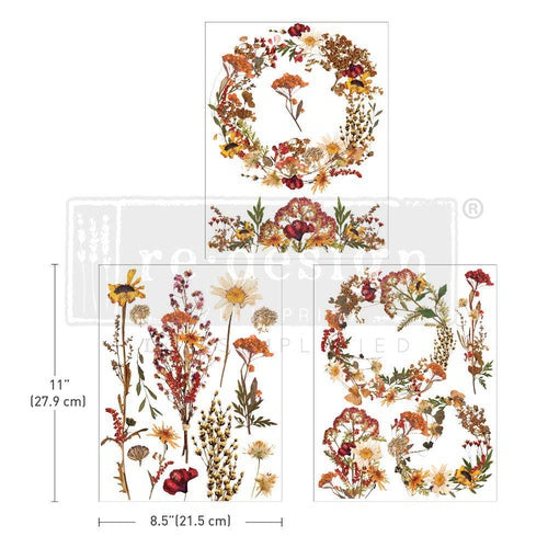 Dried Wildflowers (21,59 x 27,94cm) - Redesign Décor Transfers®
