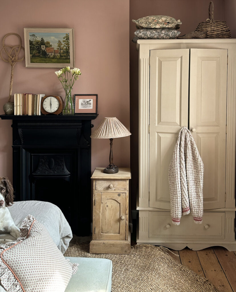 Annie Sloan Wall Paint® PIRANESI PINK