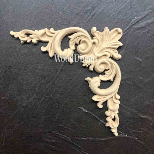 Package of 2 decorative plumes (10x19.5cm) - WUB6093
