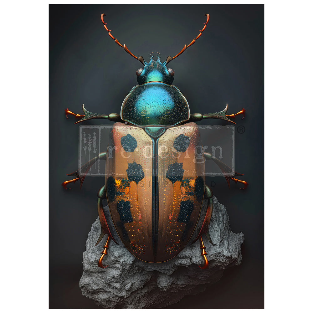 Brassscarab (59,4 x 84,3cm) - Redesign découpage A1 FIBRE