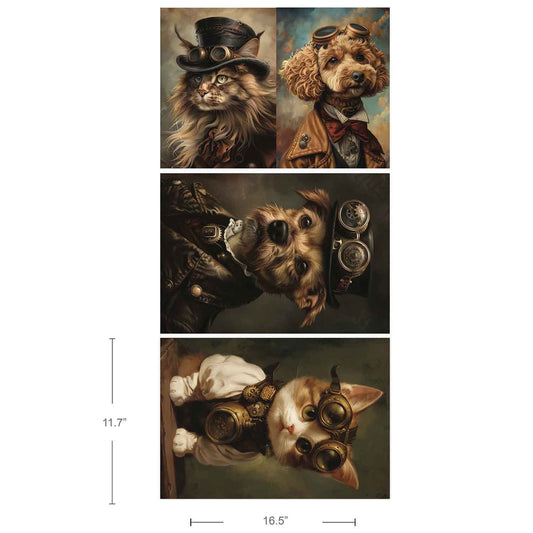 Favorite Pets (42 x 29,7cm) (3 Pack) - Redesign découpage A3 FIBER