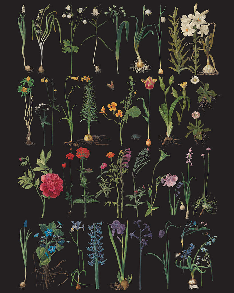 Formal garden (48x68cm) - Annie Sloan découpage Annie Sloan