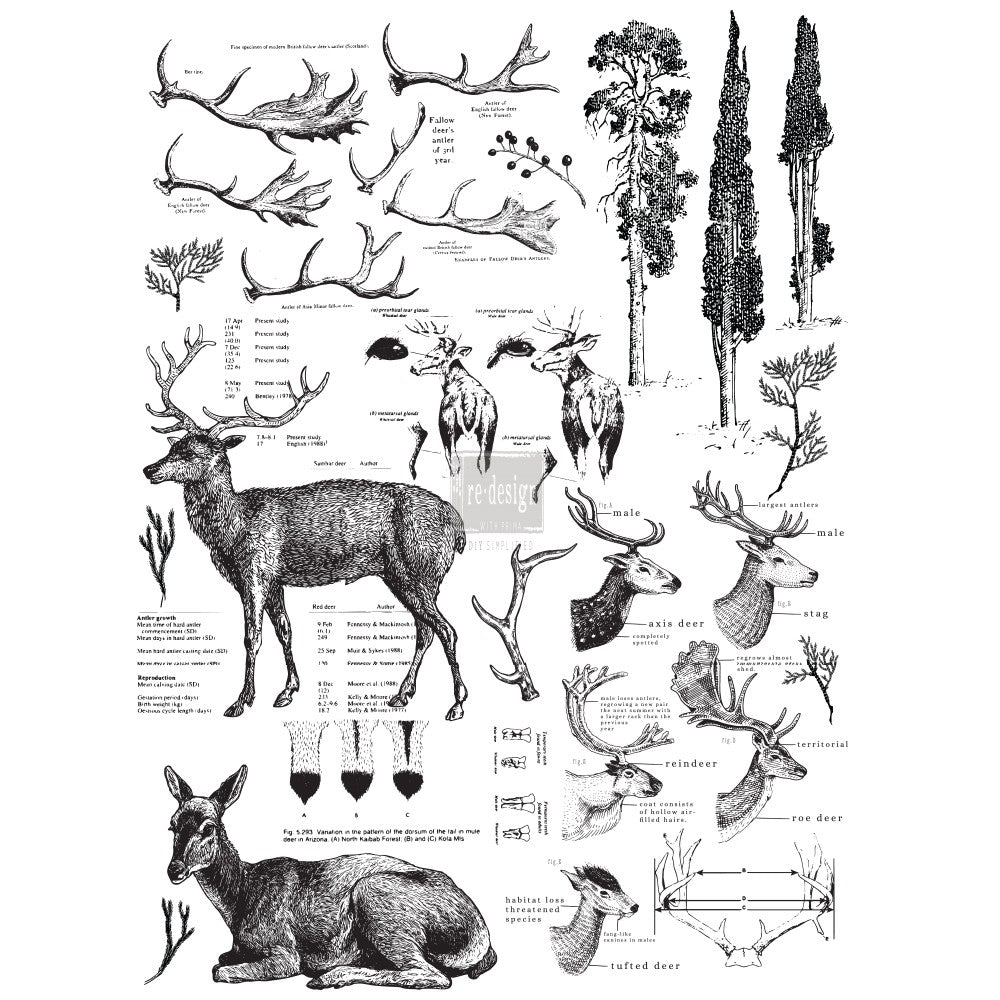Deer (58,42 x 83,82cm) - Redesign Décor Transfers® Vintage Paint